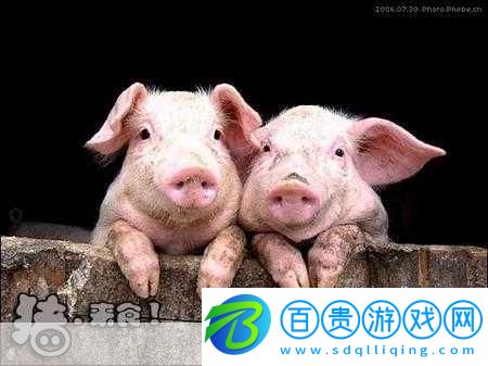 人or豬or狗熱度超高