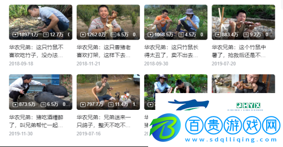 怎么四年過(guò)去了