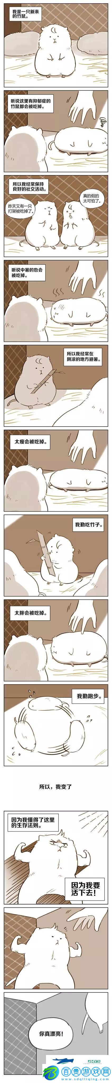 怎么四年過(guò)去了