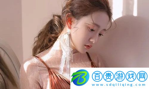 國內永久免費saas crm的崛起：高效、經濟的企業數字化轉型解決方案