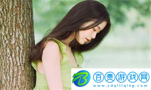 日本windowsserver-玩家分享：使用Windows Server的最佳工具和技巧！