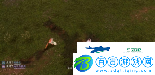 逆水寒手游仙居原動物好感度怎么提升