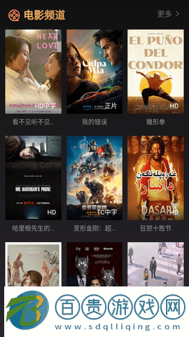 觀影臺影視內置源版