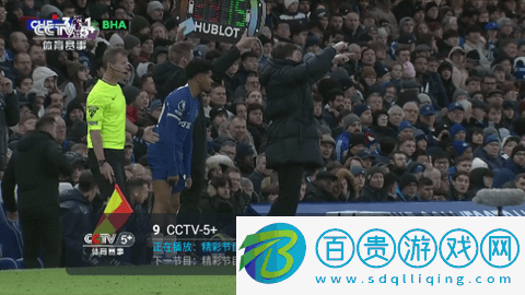 西紅柿直播2024最新版