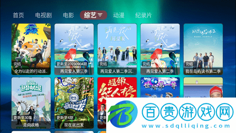 新若惜影視TV2024最新版