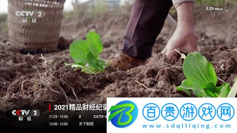 駱駝Live高清版
