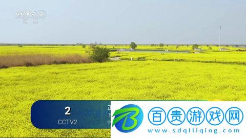 藍(lán)雨TV純凈版