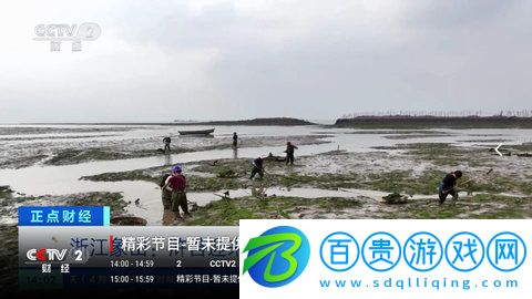 新檸檬TV純凈版