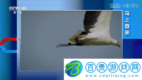 秋風(fēng)TV內(nèi)置源版下載-秋風(fēng)TV電視盒子版下載v5.2.1