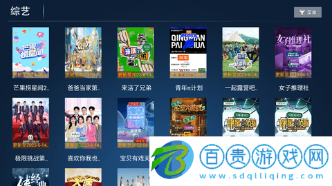 新誠(chéng)影院TV版