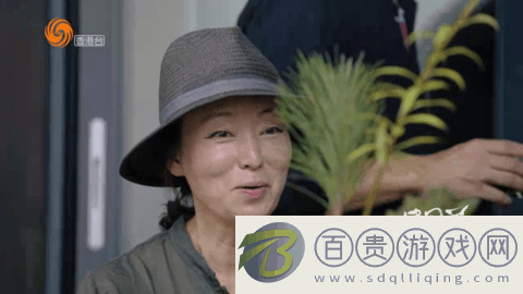 老王TV電視版