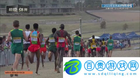 海螺直播tv2023最新版-海螺直播tv去廣告純凈版下載v2.3