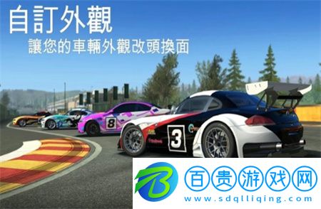 真實賽車3安卓版