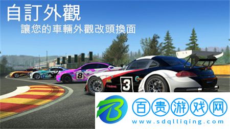 真實賽車3安卓版