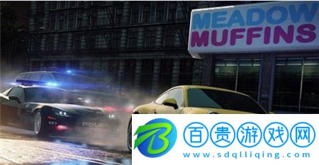 極品飛車17無限金幣