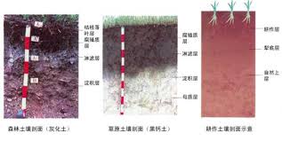 土壤為底圖土層中心土層和什么