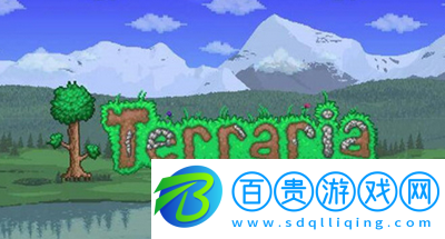 泰拉瑞亞npc要怎么分配入住？泰拉瑞亞npc分配入住攻略 